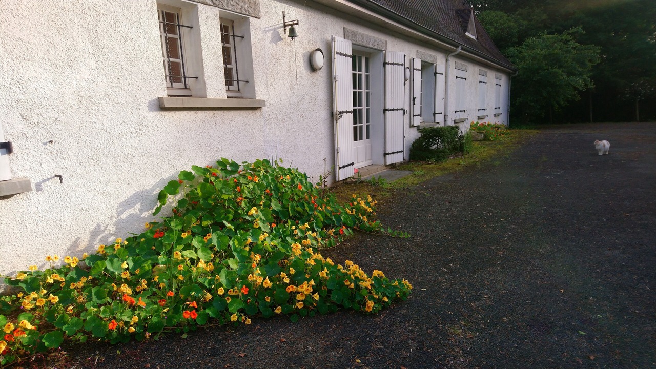 Photo of Outdoor in Le Mazeau