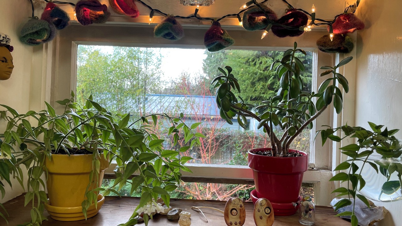 Photo of Others in Corvallis