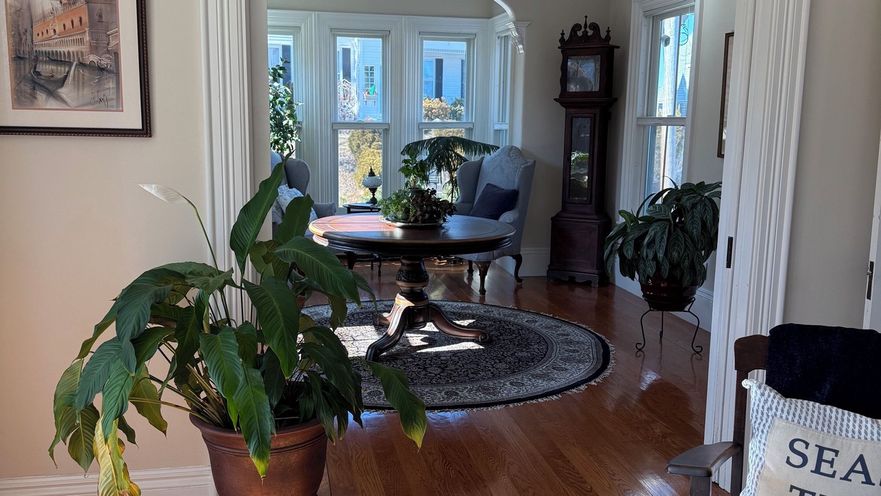 Photo of Others in Plymouth