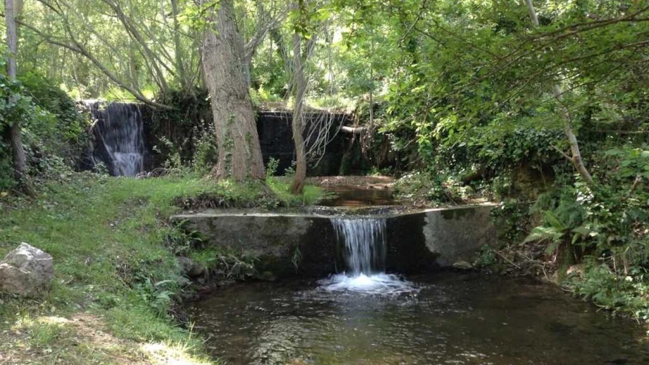 Photo of Others in Fenouillet