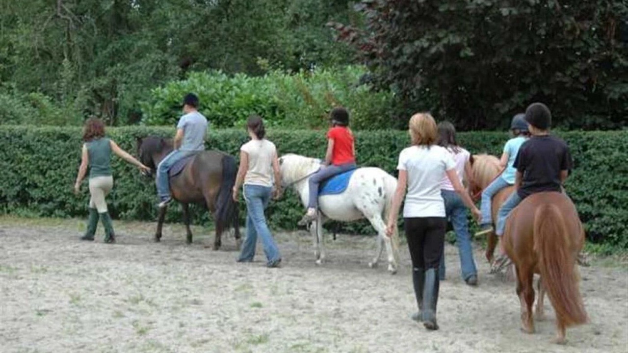 Photo of Others in Saint-Jean-de-Monts
