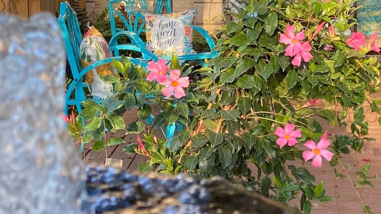 Photo of Outdoor in Round Rock Original Plat
