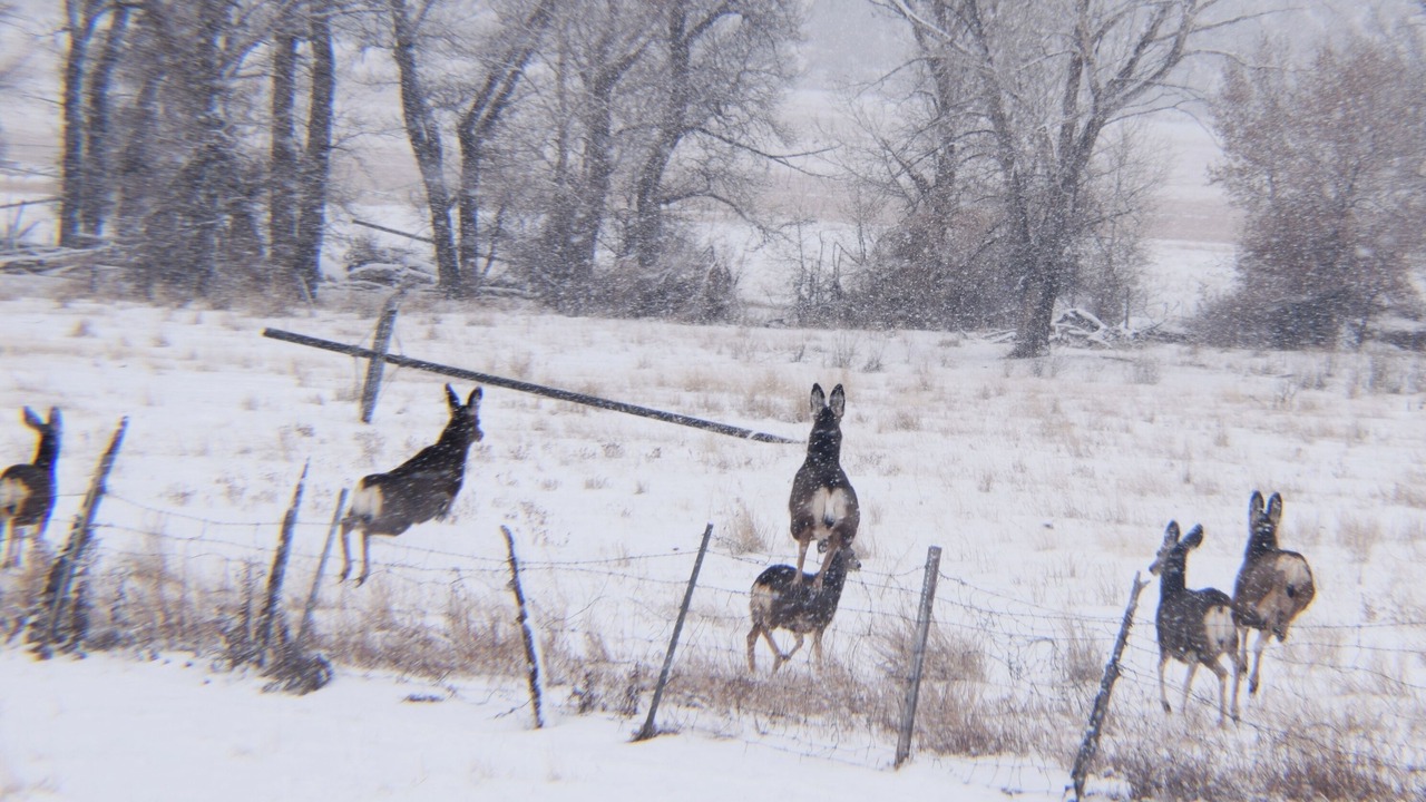 Photo of Others in Duchesne County