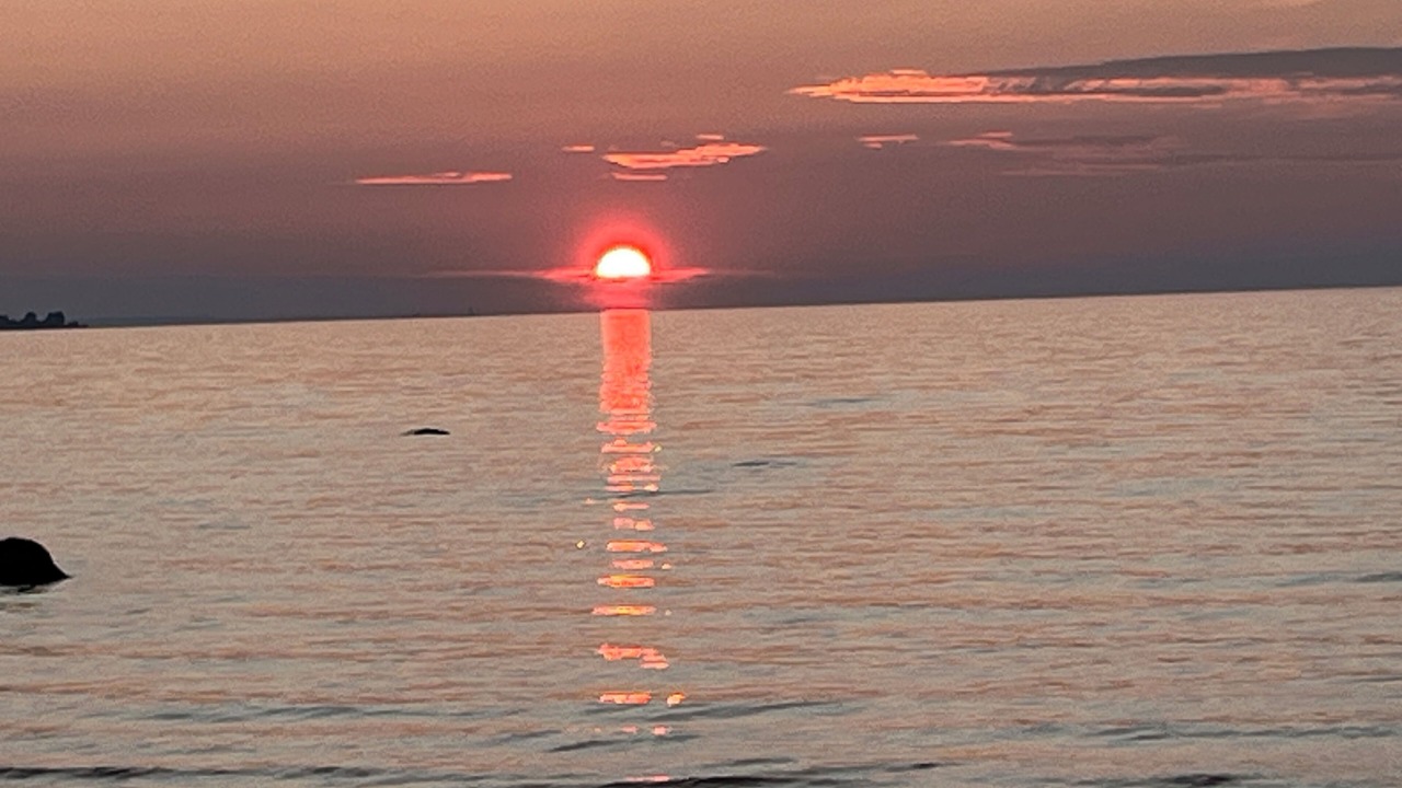 Photo of Others in Wasaga Beach