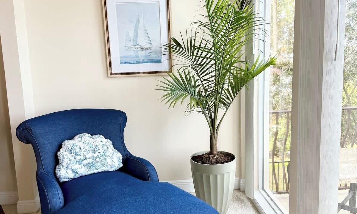 Photo of Others in Gulf Breeze