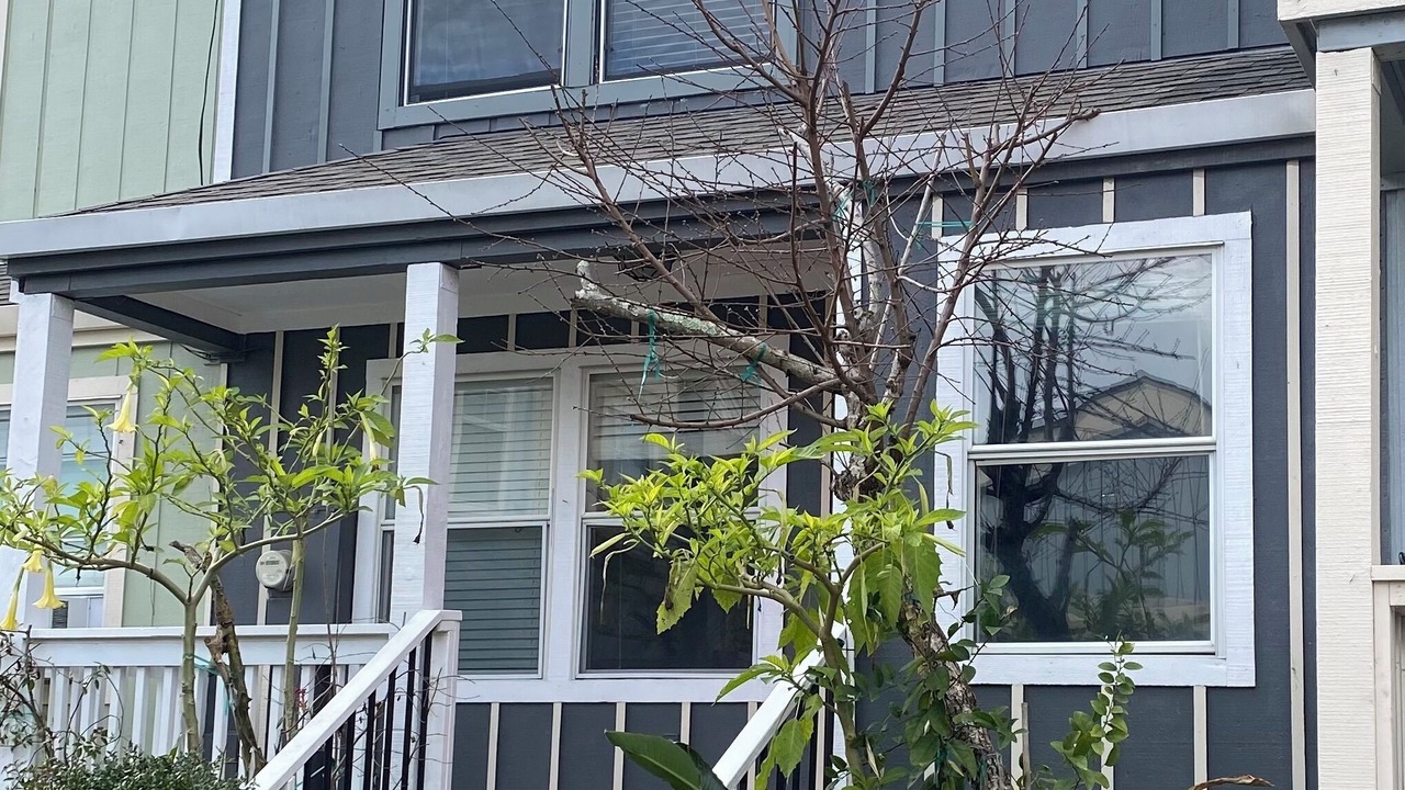 Photo of Outdoor in Geyserville