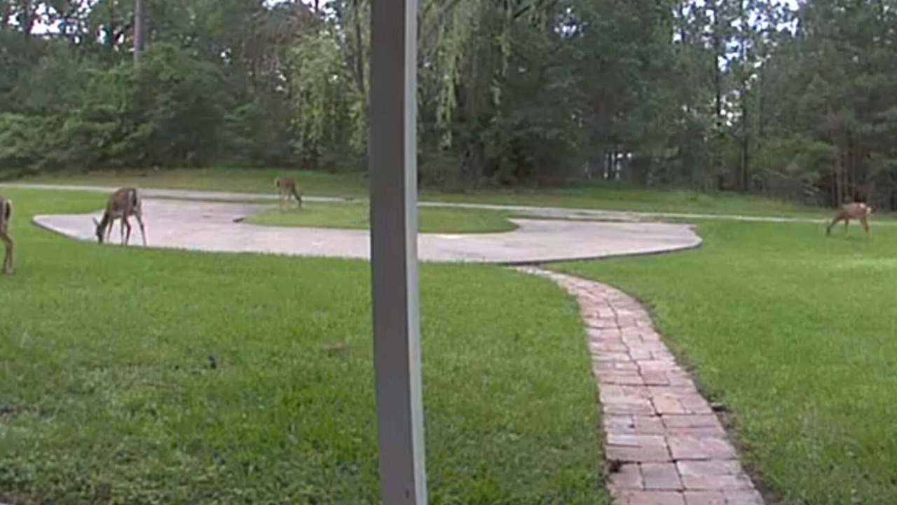 Photo of Outdoor in Coldspring