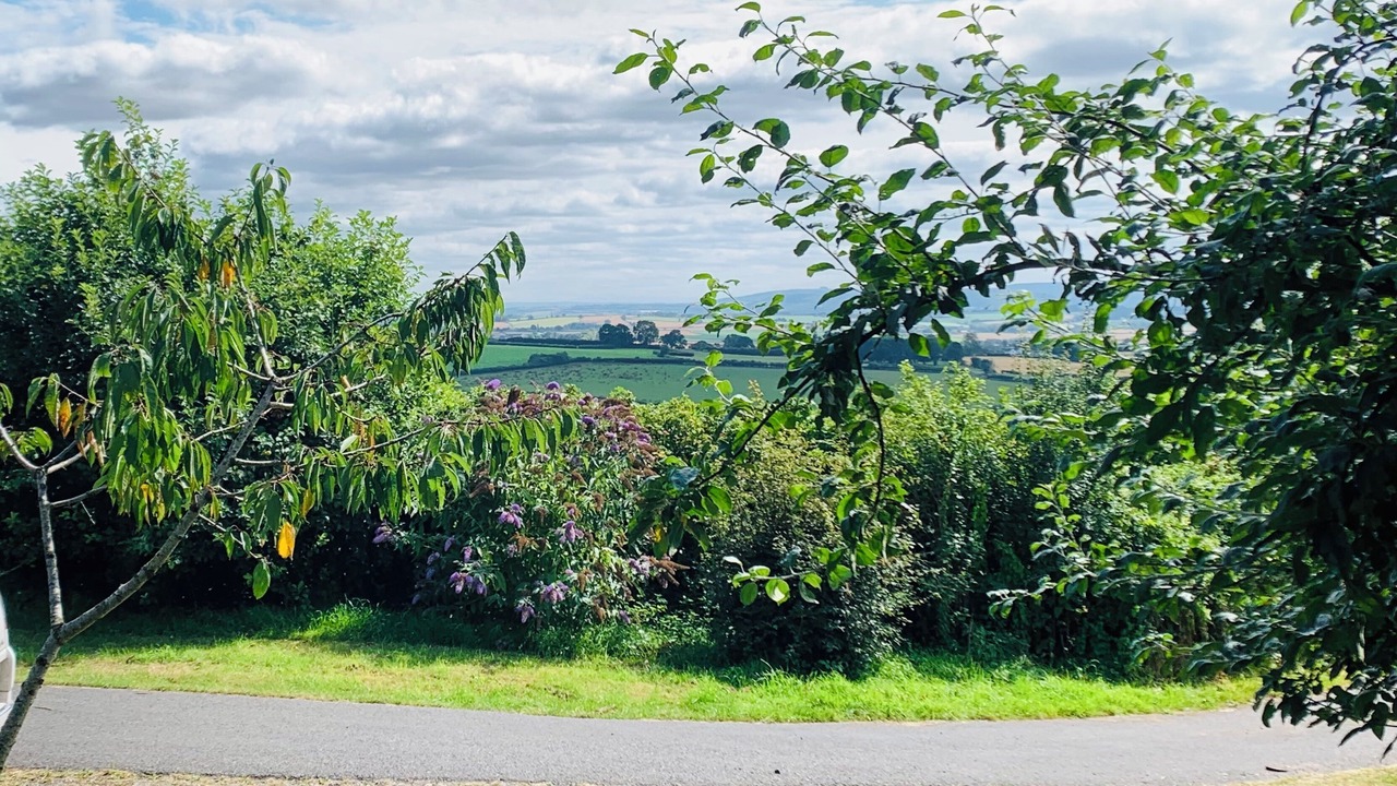 Photo of Others in Orcop