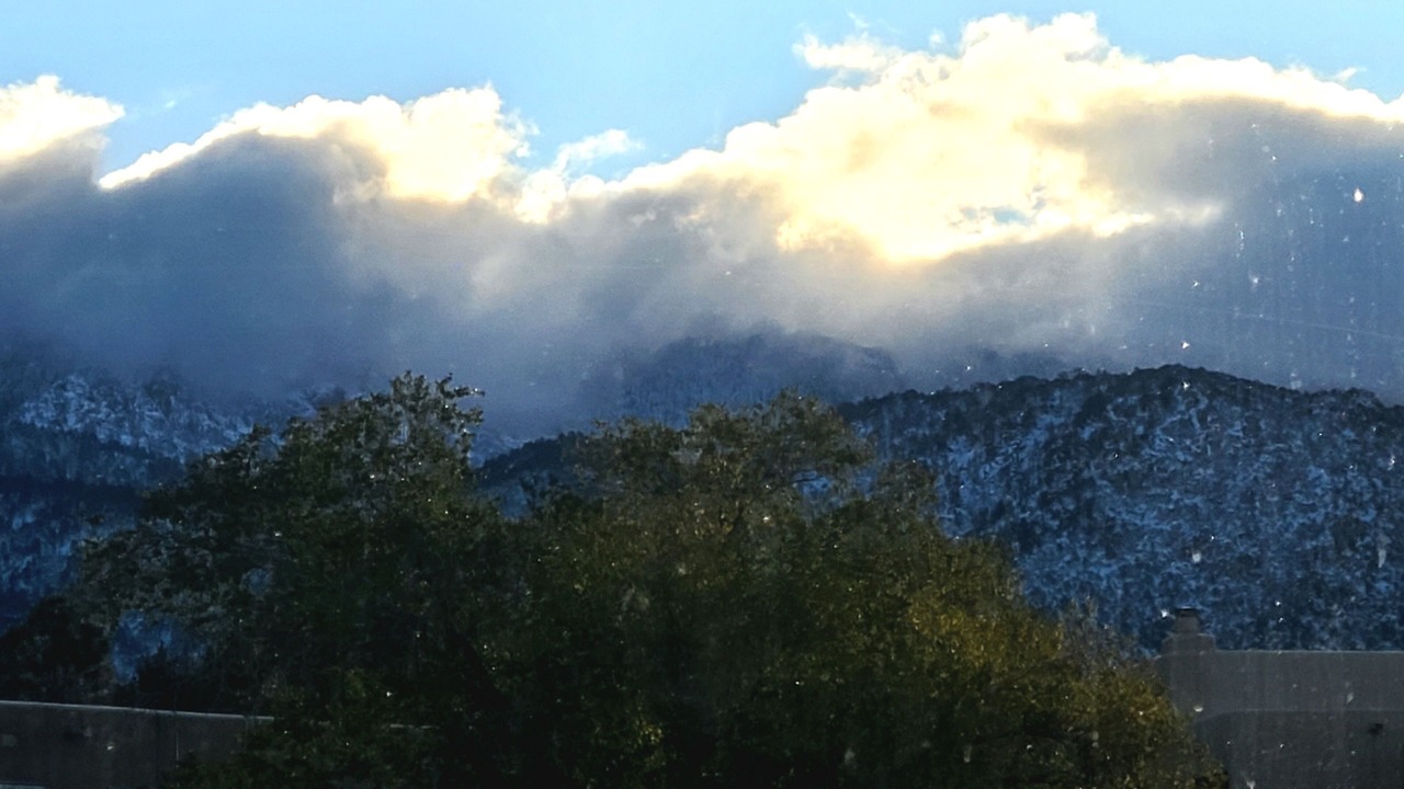 Photo of Others in Sandia Heights South
