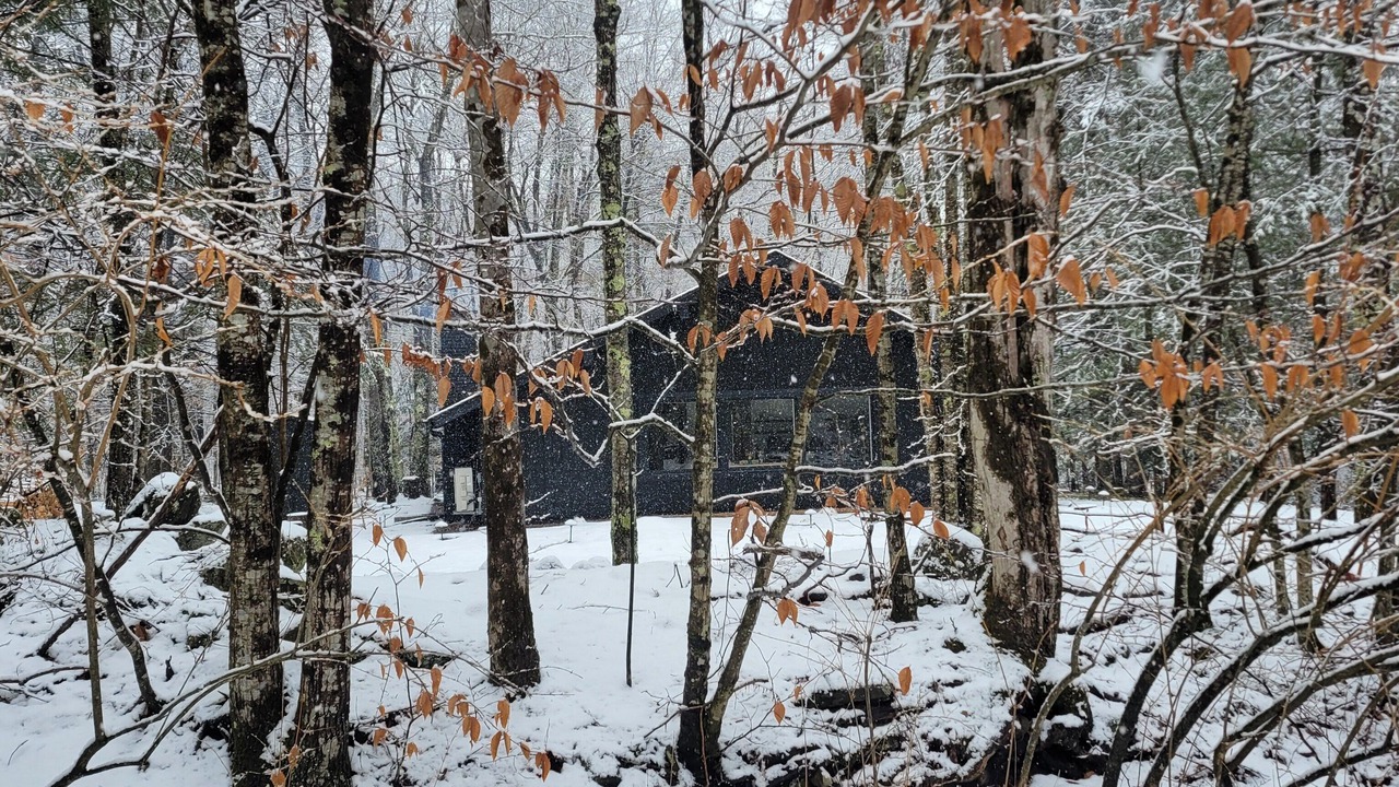 Photo of Outdoor in Shandaken
