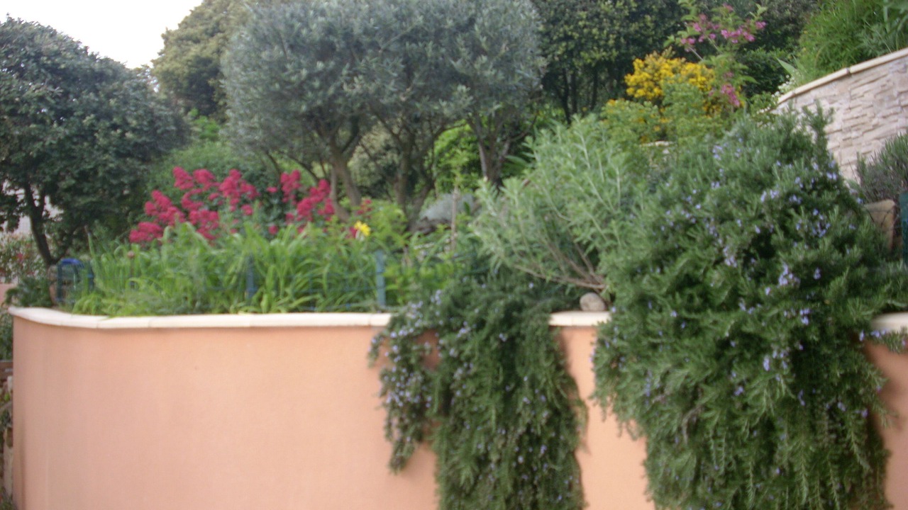 Photo of Outdoor in Serignan-du-Comtat