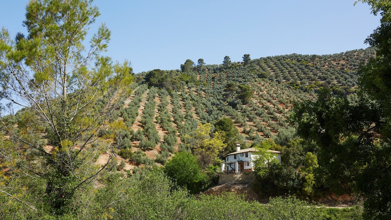 Photo of Outdoor in Iznatoraf