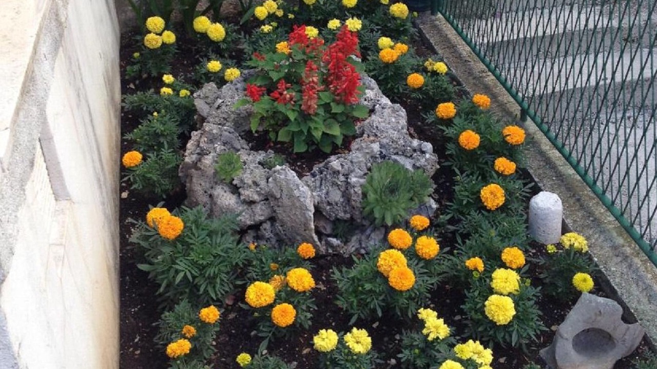 Photo of Outdoor in Bili brig