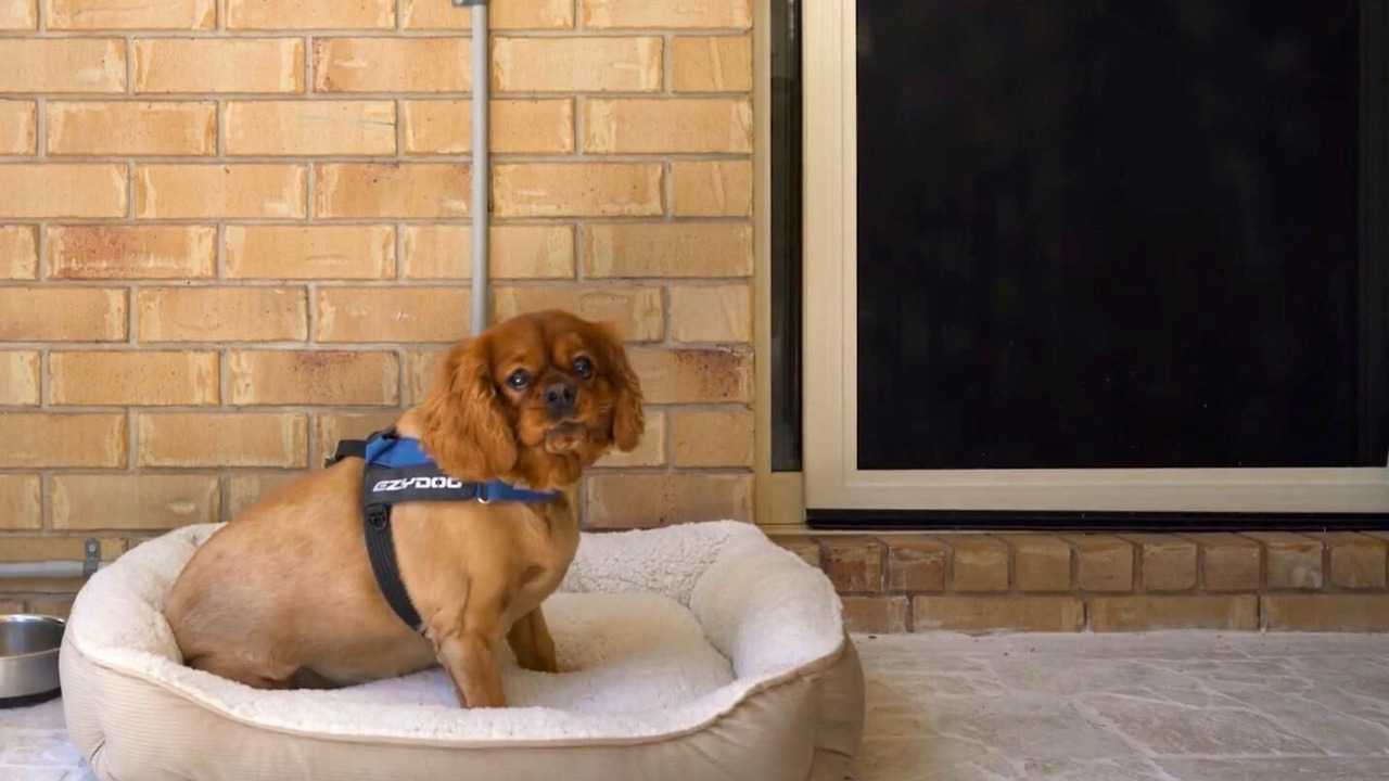 Photo of Others in Bargara