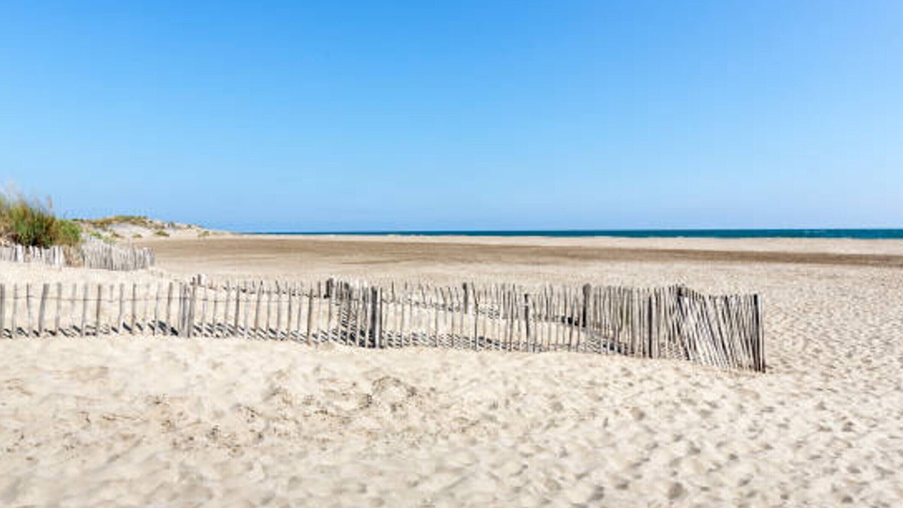 Photo of Others in Saintes-Maries-de-la-Mer