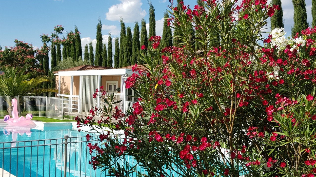 Photo of Outdoor in Milhaud