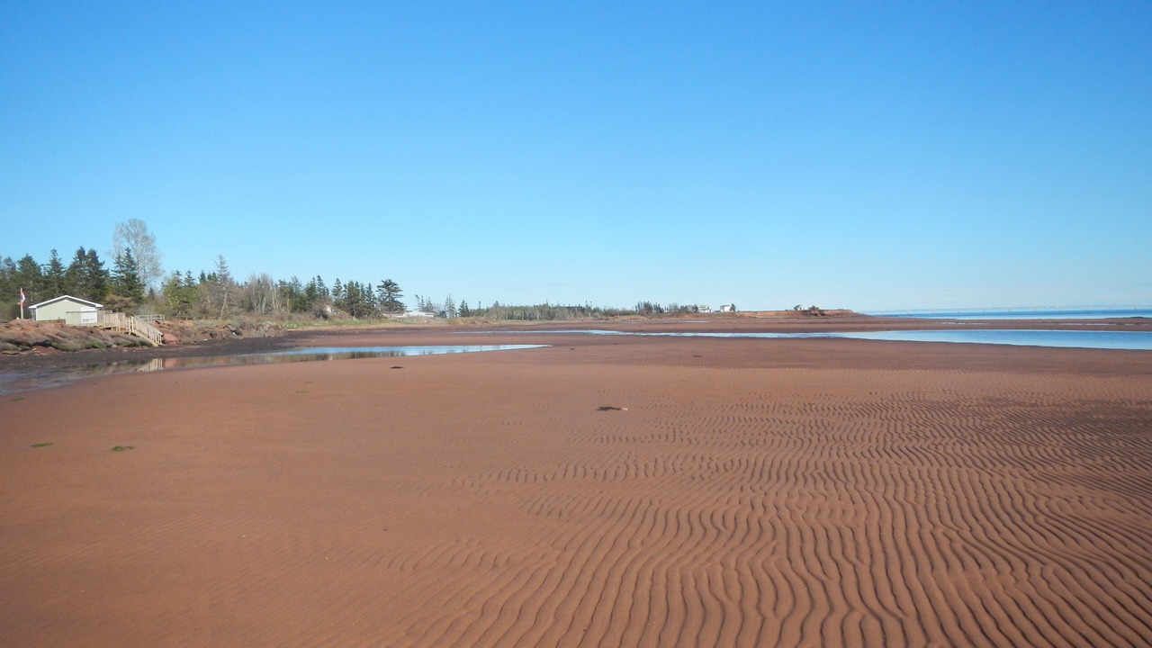 Photo of Others in Fernwood