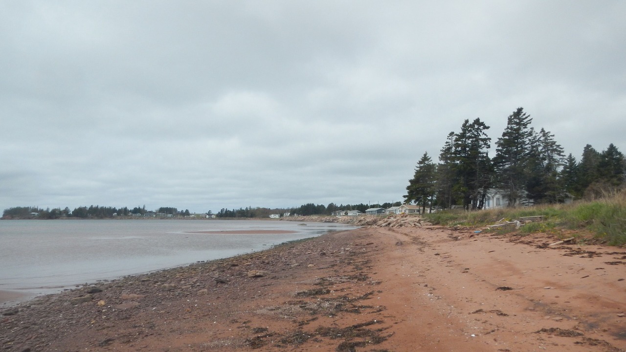 Photo of Others in Fernwood