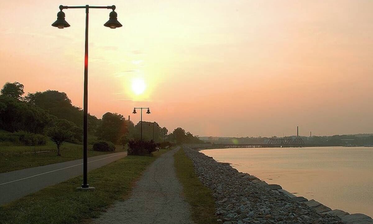 Photo of Others in Munjoy Hill