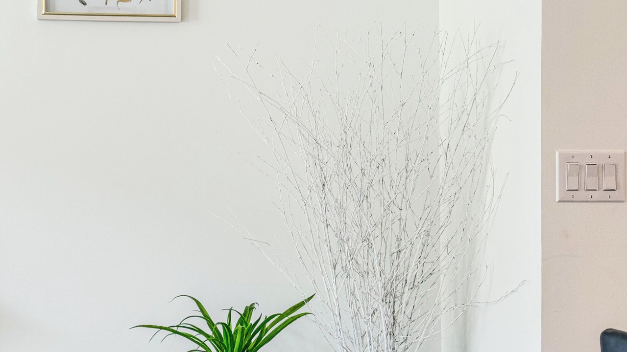 Photo of Others in Olde Richmond