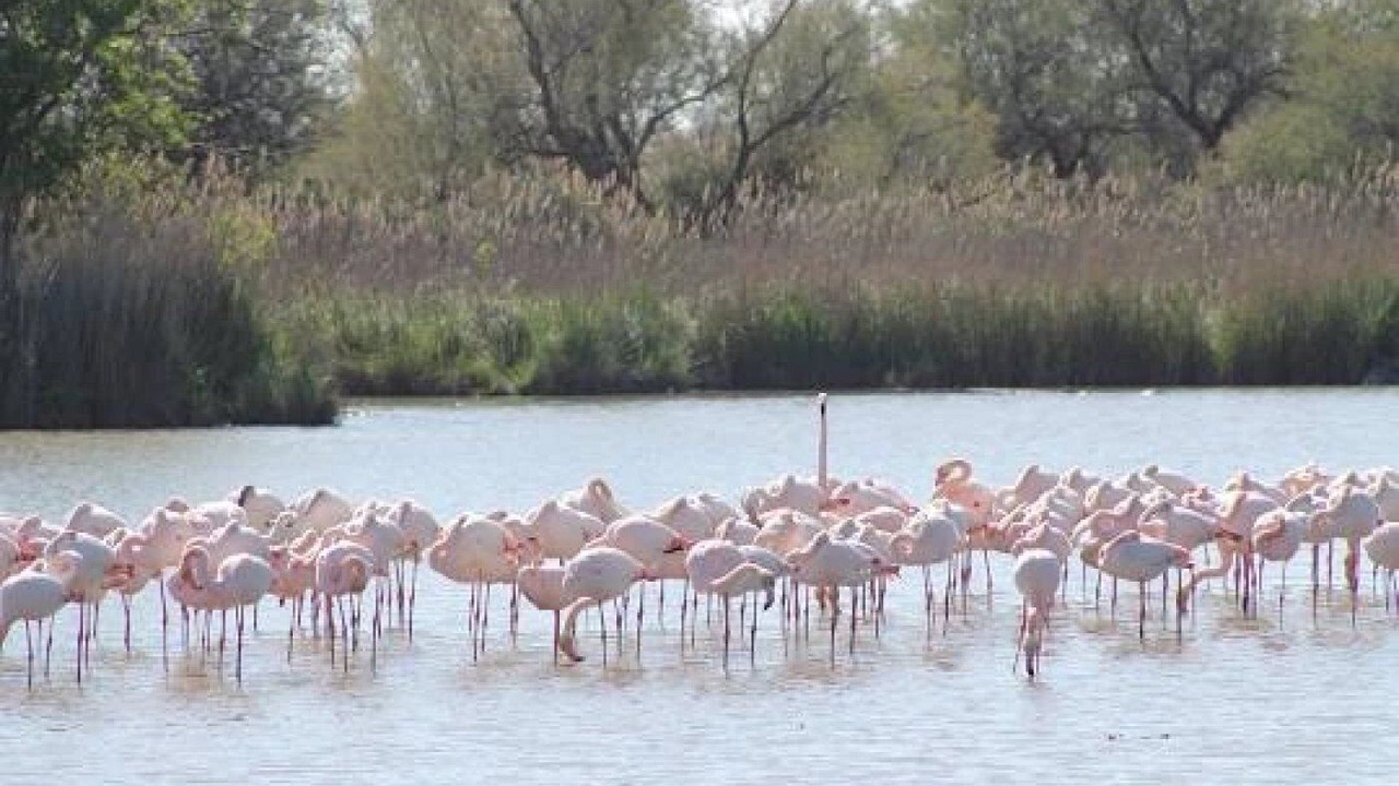 Photo of Others in Calvisson