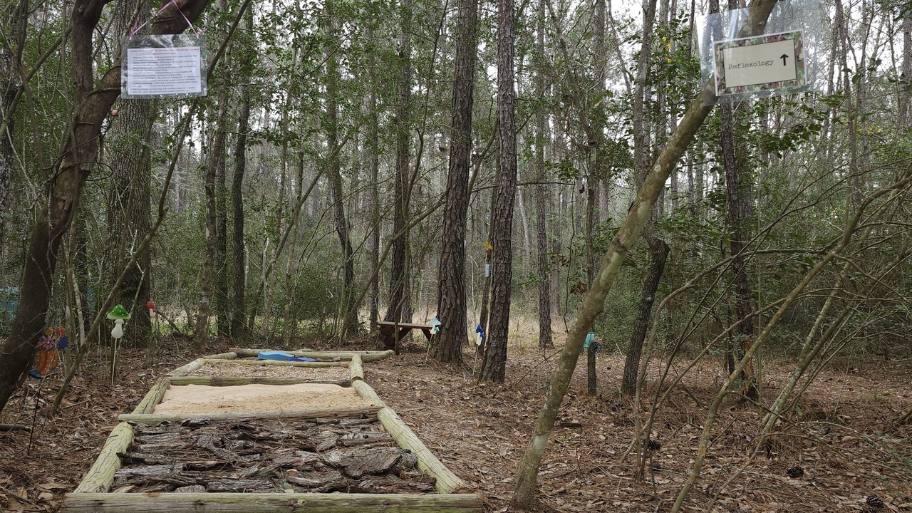 Photo of Others in Conroe