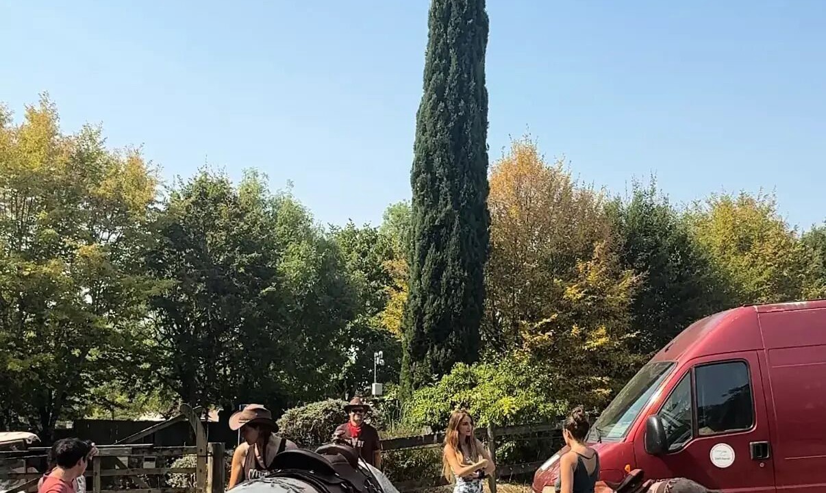 Photo of Others in Seniergues