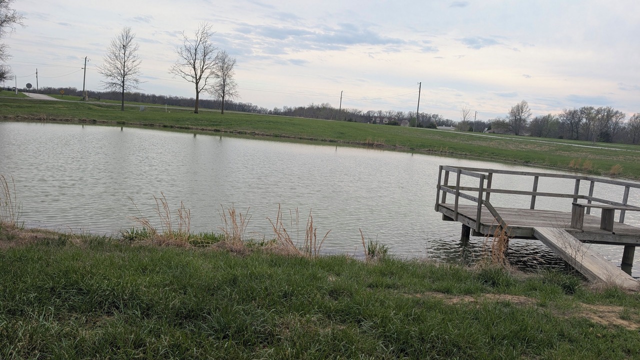 Photo of Others in Monroe City