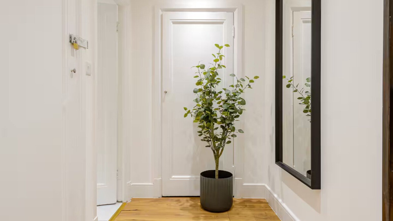 Photo of Others in City of Westminster