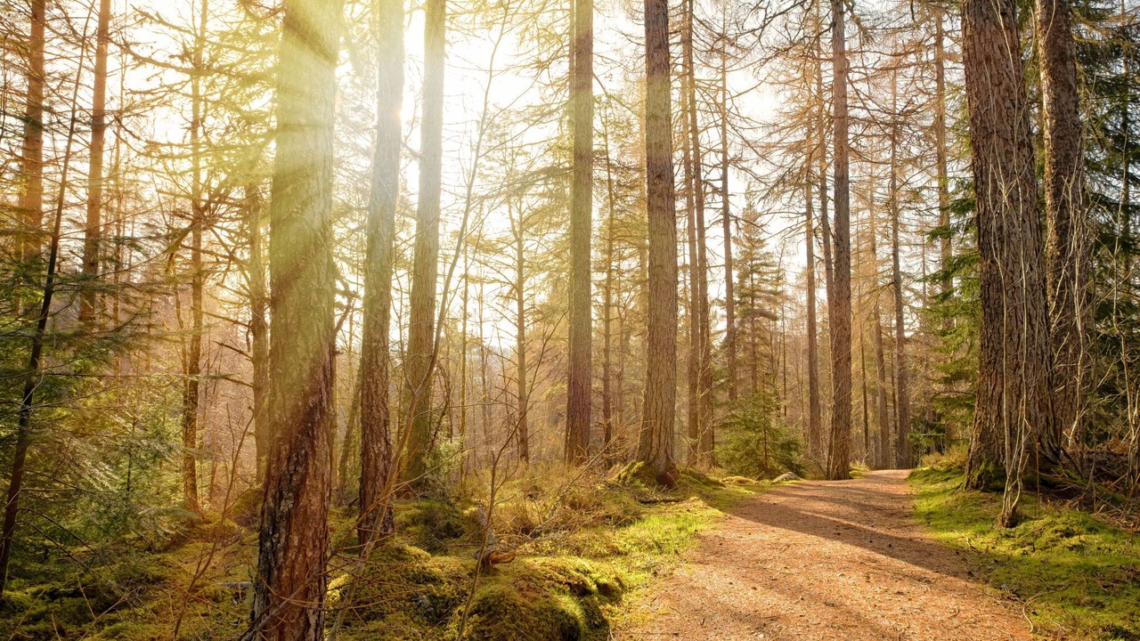 Photo of Others in Lewiston