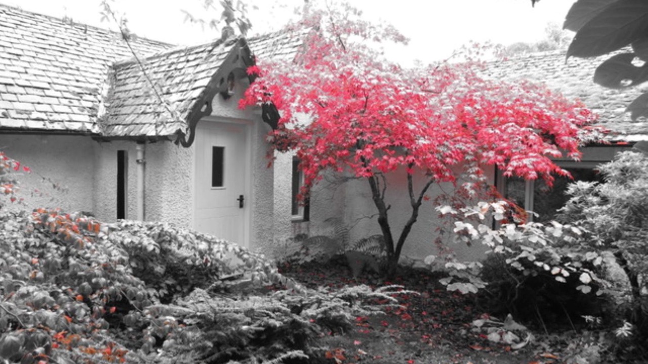 Photo of Others in Lewiston