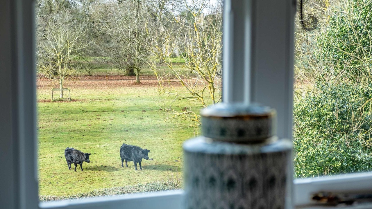 Photo of Others in Glaston