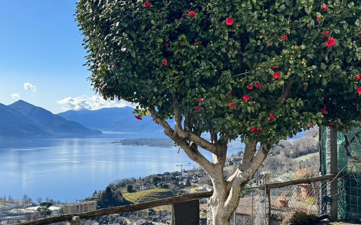 Photo of Outdoor in Gordola
