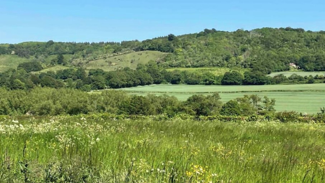 Photo of Others in Shoreham