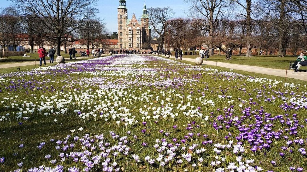 Photo of Others in Copenhagen City Centre
