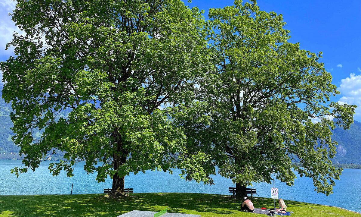 Photo of Outdoor in Darligen