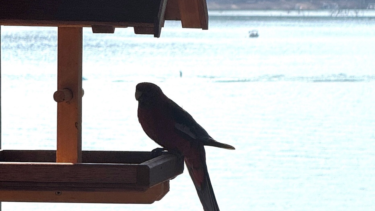 Photo of Others in Taylor Bay