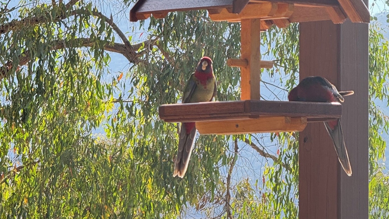 Photo of Others in Taylor Bay