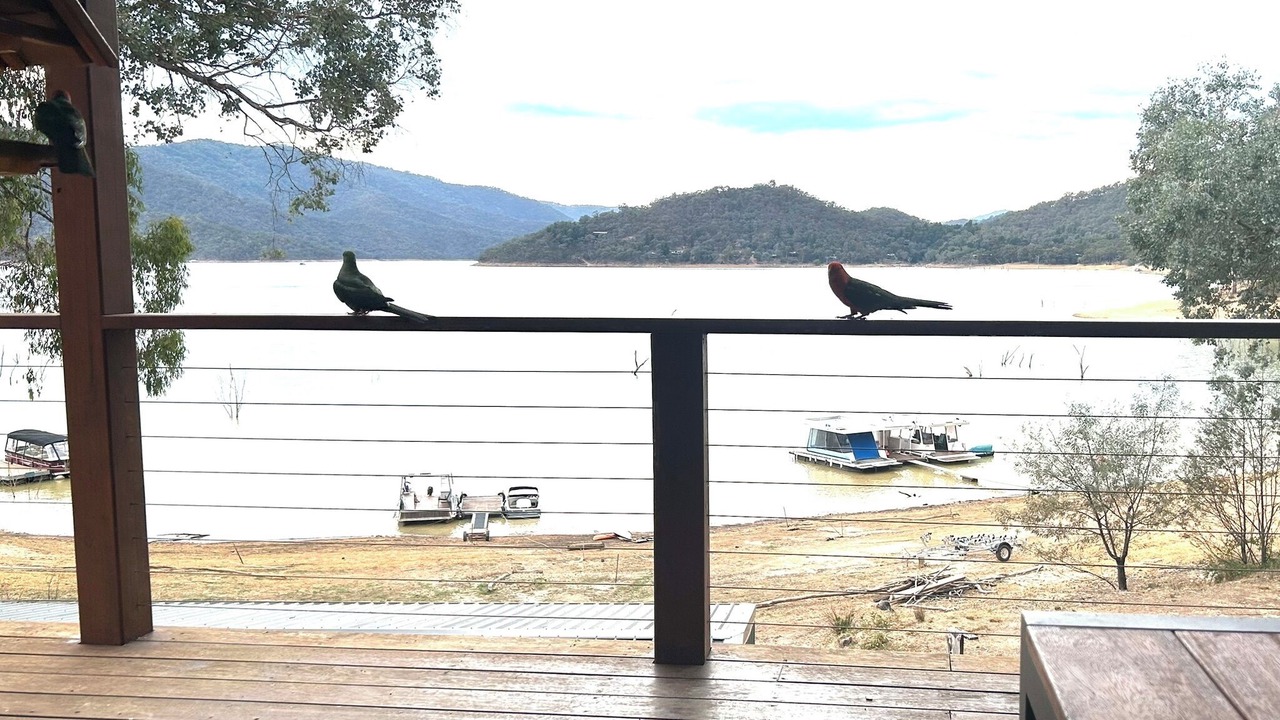 Photo of Others in Taylor Bay