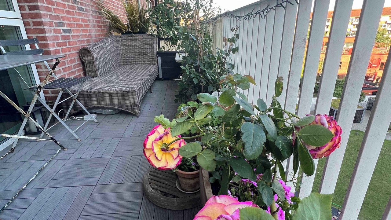 Photo of Others in Amager