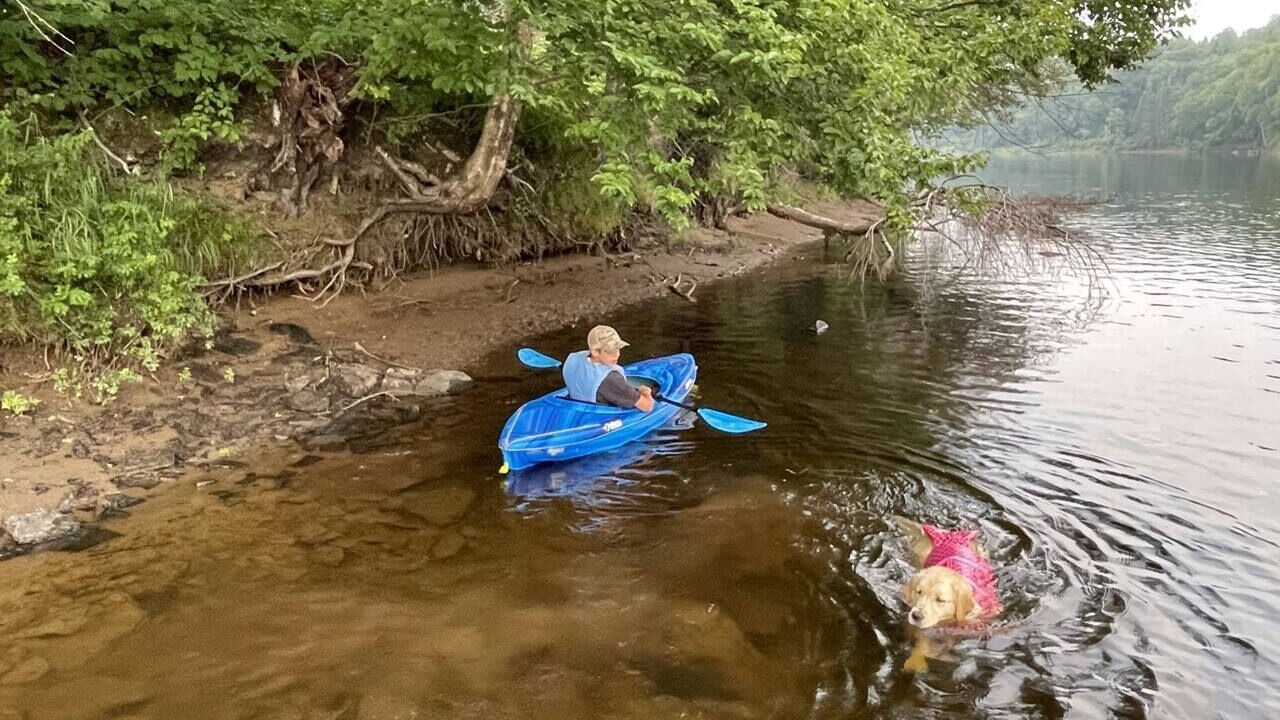 Photo of Others in Mauricie