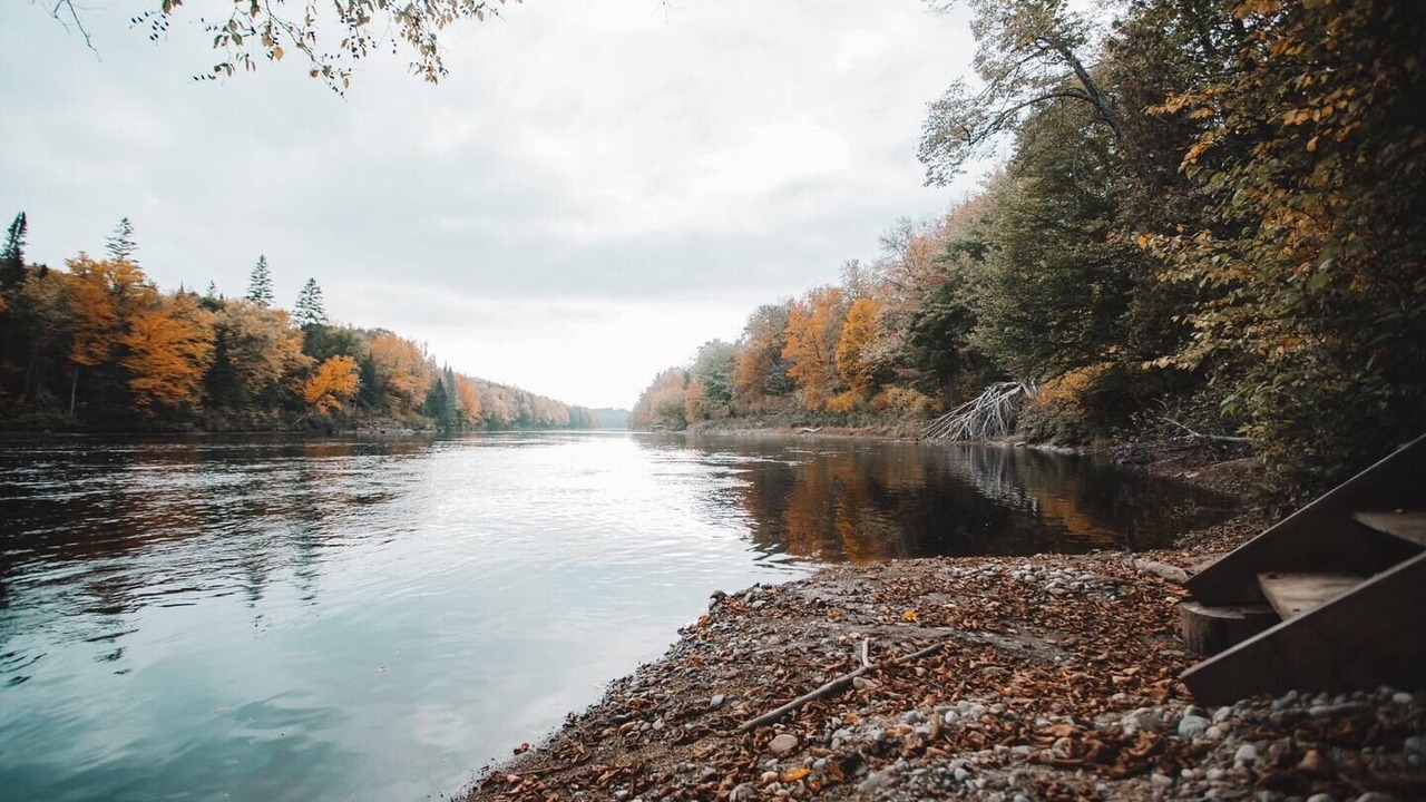 Photo of Others in Mauricie