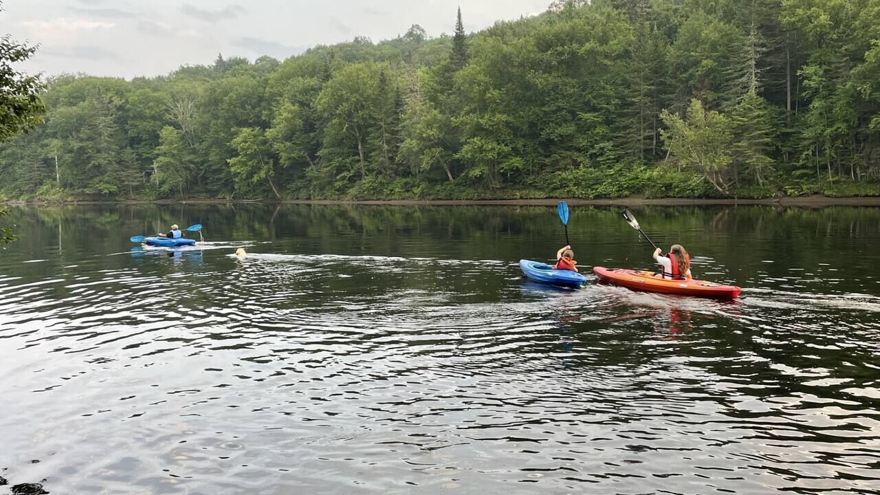 Photo of Others in Mauricie