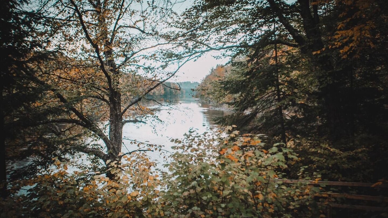 Photo of Others in Mauricie