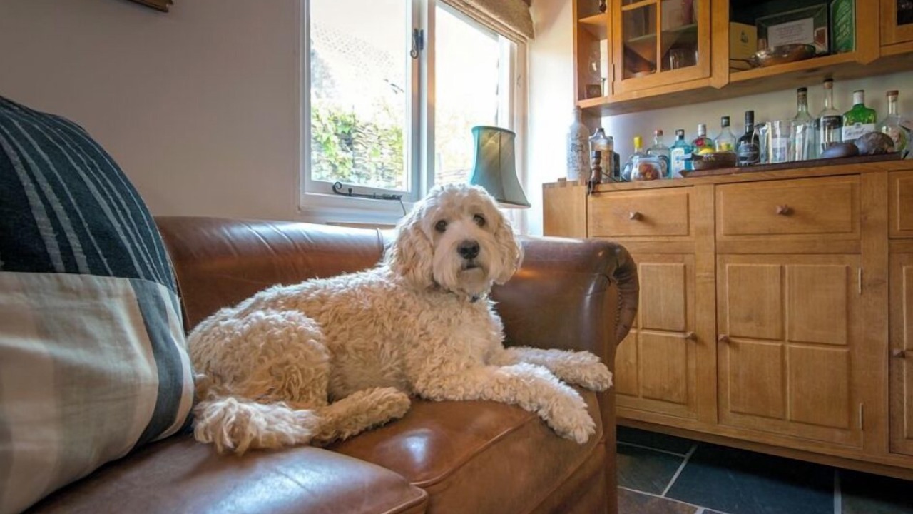 Photo of Livingroom in Charney Bassett