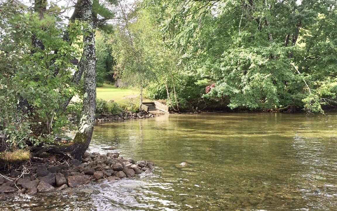 Photo of Others in Naples