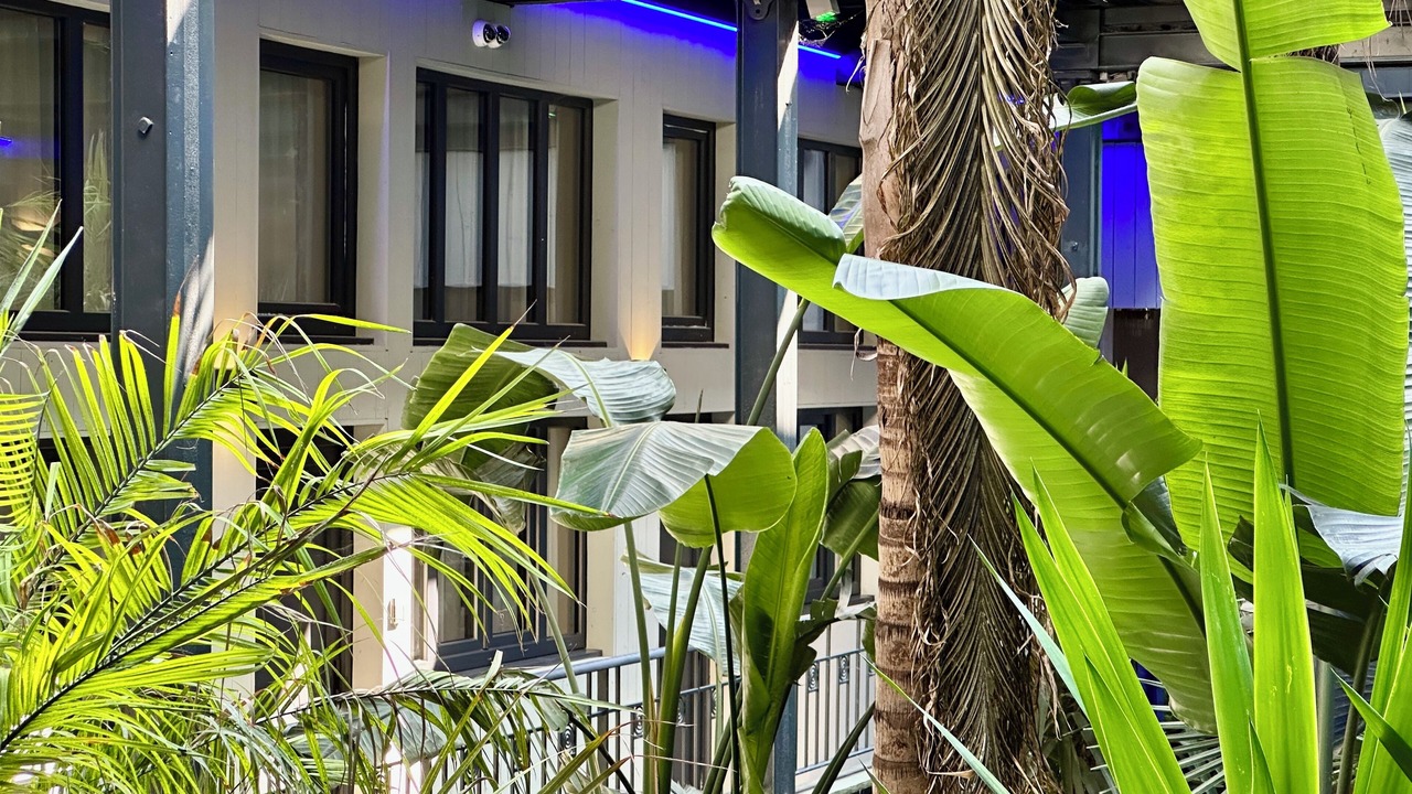 Photo of Outdoor in Centre Ville