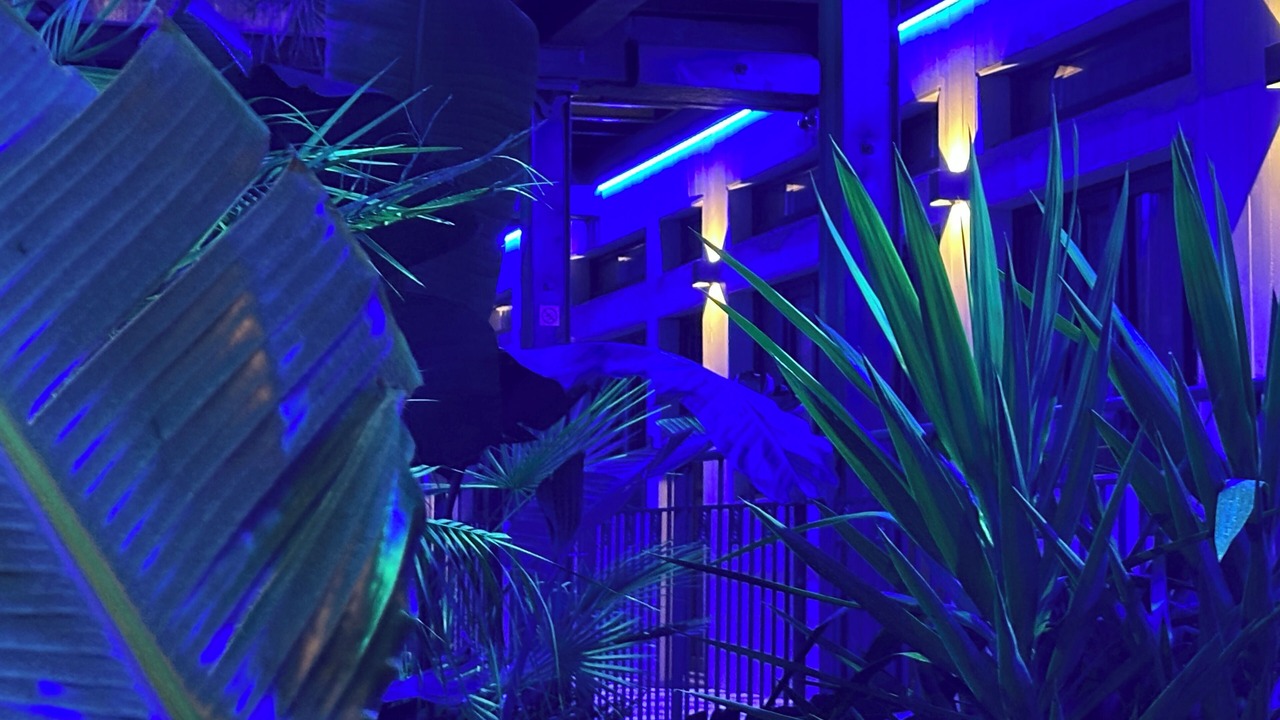 Photo of Outdoor in Centre Ville