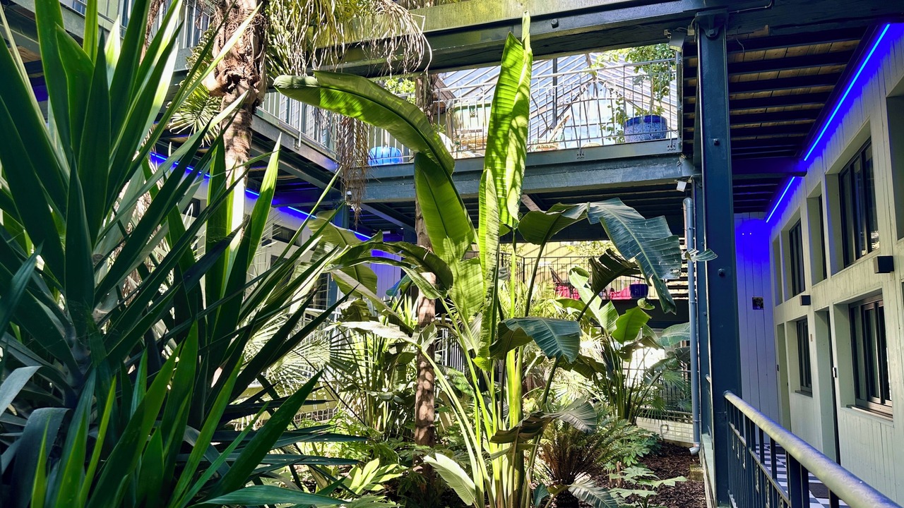 Photo of Outdoor in Centre Ville