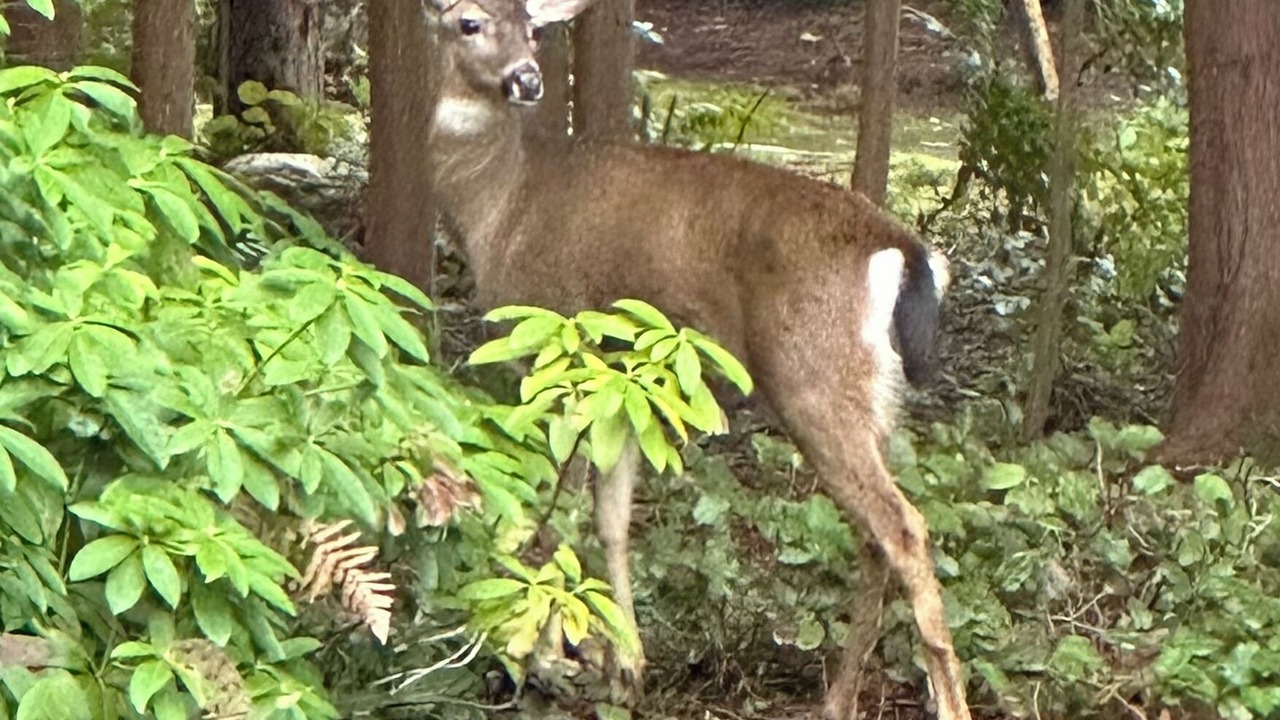 Photo of Others in Woodinville